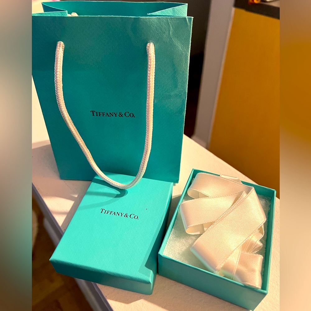 Tiffany & Co. Turquoise Necklace Box with bag